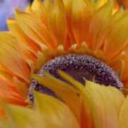 ヒメ日記 2025/08/31 01:01 投稿 亜美(アミ) グランドオペラ名古屋