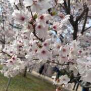 ヒメ日記 2026/04/03 12:28 投稿 れんげ まごころ