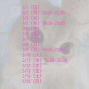 メル 3月‎前半出勤予定᱒ᐢ ܸ. . .ᐢ১ ごほうびSPA仙台店