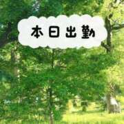 ヒメ日記 2024/05/10 07:16 投稿 あき奥様 人妻倶楽部　日本橋店