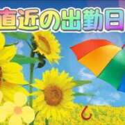 ヒメ日記 2024/06/29 13:20 投稿 あき奥様 人妻倶楽部　日本橋店