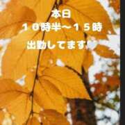 ヒメ日記 2024/10/24 10:36 投稿 あき奥様 人妻倶楽部　日本橋店