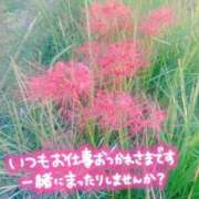 ヒメ日記 2024/10/03 09:48 投稿 しずか 厚木人妻城