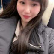 ヒメ日記 2025/03/16 08:48 投稿 きい チューリップ福井本館