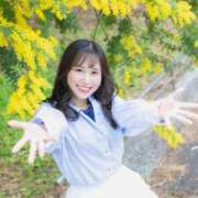 ヒメ日記 2025/03/20 11:04 投稿 きい チューリップ福井本館