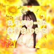 ヒメ日記 2025/08/07 14:34 投稿 もも 川崎三浦屋