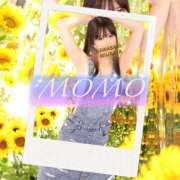 ヒメ日記 2025/08/26 14:52 投稿 もも 川崎三浦屋