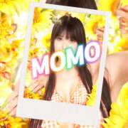 ヒメ日記 2025/09/04 21:26 投稿 もも 川崎三浦屋