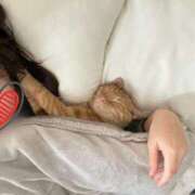 ヒメ日記 2024/12/06 21:16 投稿 あんず ニュー不夜城