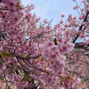 ヒメ日記 2025/03/20 09:33 投稿 あんず ニュー不夜城