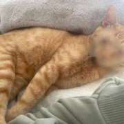 ヒメ日記 2025/04/15 23:16 投稿 あんず ニュー不夜城