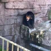 ヒメ日記 2025/06/19 22:56 投稿 あんず ニュー不夜城