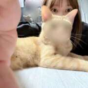 あんず ごめんなさいの話 ニュー不夜城