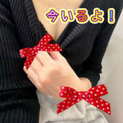 ヒメ日記 2025/12/01 10:21 投稿 かすみ パンドラ(上野)