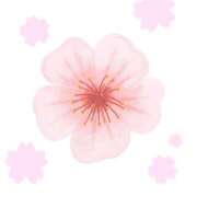 ヒメ日記 2026/03/26 20:28 投稿 かすみ パンドラ(上野)