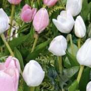 ヒメ日記 2026/03/24 11:18 投稿 かすみ パンドラ(上野)