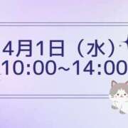 ヒメ日記 2026/03/25 19:22 投稿 かすみ パンドラ(上野)