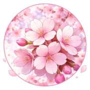 ヒメ日記 2026/03/31 21:00 投稿 かすみ パンドラ(上野)