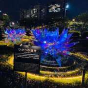 ヒメ日記 2025/11/25 09:16 投稿 りお 夫を卒業する人妻たち