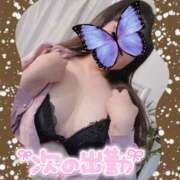 ヒメ日記 2025/06/19 12:18 投稿 みひろ 夫を卒業する人妻たち