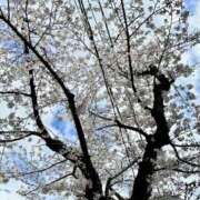 ヒメ日記 2025/03/29 13:48 投稿 さら 夫を卒業する人妻たち