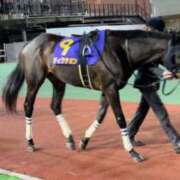 ヒメ日記 2025/09/17 11:20 投稿 さら 夫を卒業する人妻たち