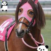 ヒメ日記 2026/02/11 10:59 投稿 さら 夫を卒業する人妻たち