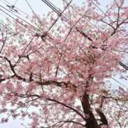 ヒメ日記 2026/04/04 14:38 投稿 さら 夫を卒業する人妻たち