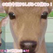 ヒメ日記 2025/02/18 08:21 投稿 のあ 21世紀