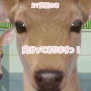 ヒメ日記 2025/04/18 14:51 投稿 のあ 21世紀