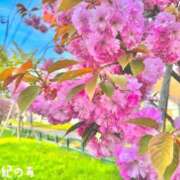 ヒメ日記 2025/05/14 16:31 投稿 のあ 21世紀