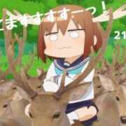 ヒメ日記 2025/06/06 16:21 投稿 のあ 21世紀