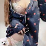 ヒメ日記 2025/03/30 16:41 投稿 ちぐさ 21世紀