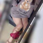 ヒメ日記 2025/04/12 23:51 投稿 ちぐさ 21世紀