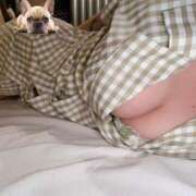 ヒメ日記 2025/04/15 17:51 投稿 ちぐさ 21世紀