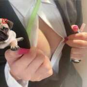 ヒメ日記 2025/06/21 16:31 投稿 ちぐさ 21世紀