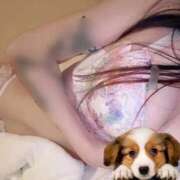 ヒメ日記 2025/10/28 00:01 投稿 ちぐさ 21世紀