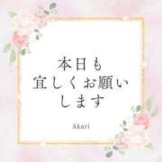 ヒメ日記 2024/03/19 07:18 投稿 かるみあ まごころ