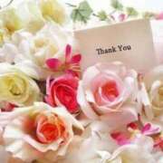 ヒメ日記 2025/03/30 08:08 投稿 かるみあ まごころ