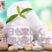 ヒメ日記 2025/04/29 08:21 投稿 かるみあ まごころ