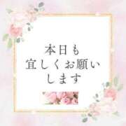 ヒメ日記 2025/11/10 06:51 投稿 かるみあ まごころ