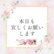 ヒメ日記 2025/11/11 08:46 投稿 かるみあ まごころ