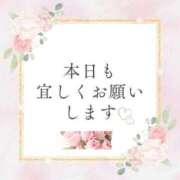 ヒメ日記 2025/12/24 09:47 投稿 かるみあ まごころ
