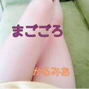 ヒメ日記 2026/01/30 08:53 投稿 かるみあ まごころ