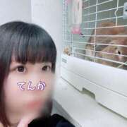 ヒメ日記 2024/12/07 10:01 投稿 てんか CURVY POP 池袋店