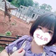 ヒメ日記 2025/08/17 15:31 投稿 てんか CURVY POP 池袋店