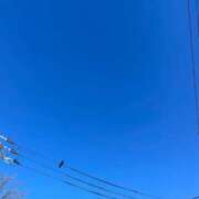 ヒメ日記 2025/01/31 19:45 投稿 はる ソープランド メイド館 ラ・メイド