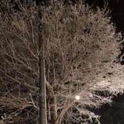 ヒメ日記 2025/02/21 15:22 投稿 はる ソープランド メイド館 ラ・メイド