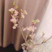 ヒメ日記 2025/03/26 02:04 投稿 はる ソープランド メイド館 ラ・メイド