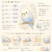 ヒメ日記 2026/05/20 18:58 投稿 はる ソープランド メイド館 ラ・メイド
